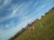 IMG_20191017_144535.jpg