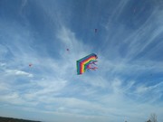 IMG_20191017_145054.jpg