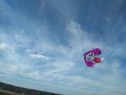 IMG_20191017_145110.jpg
