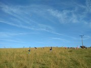 IMG_20191017_145114.jpg