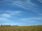 IMG_20191017_150646.jpg