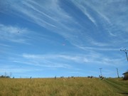 IMG_20191017_150653.jpg