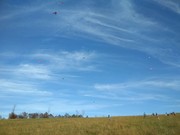 IMG_20191017_150655.jpg