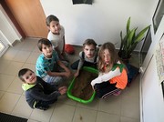 IMG_20191101_091726.jpg