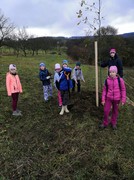 IMG_20191108_092257.jpg