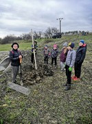 IMG_20191108_092556.jpg