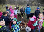 IMG_20191108_100726.jpg