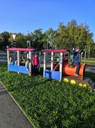 IMG_20200918_074847.jpg
