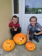 IMG_20201001_135906.jpg