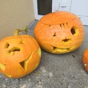 IMG_20201001_141920_160.jpg