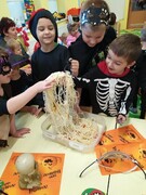 IMG_20201105_092652.jpg