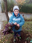 IMG_20201109_104850.jpg