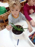 IMG_20201112_080313.jpg