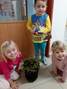 IMG_20201112_094751.jpg