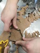 IMG_20201203_131254.jpg