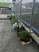 IMG_20210423_085016.jpg