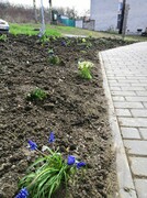 IMG_20210423_114843.jpg