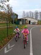IMG_20221115_105742.jpg