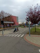 IMG_20221115_105824.jpg