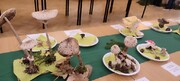 IMG_20231009_091414