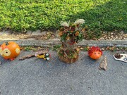 IMG-20231011-WA0007