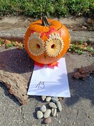 IMG-20231011-WA0017