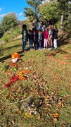 IMG-20231101-WA0005