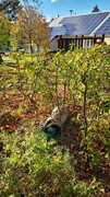 IMG-20231101-WA0008
