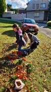 IMG-20231101-WA0018
