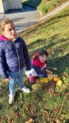 IMG-20231101-WA0019