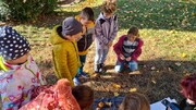 IMG-20231101-WA0024