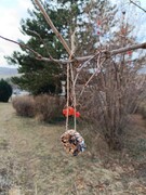 IMG_20240125_101801