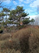 IMG_20240125_101831