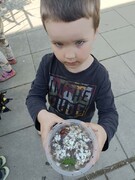 IMG_20240430_105642