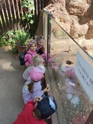 IMG_20240516_101318