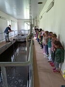 IMG-20250429-WA0007.jpg
