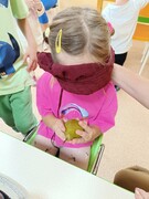 IMG_20250923_095208.jpg