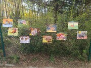 IMG_20260410_101428.jpg