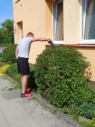 IMG_20260428_141421.jpg