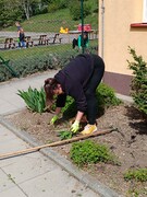 IMG_20260428_141435.jpg