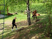 IMG_20260428_141512.jpg