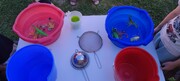 IMG_20260623_095550.jpg