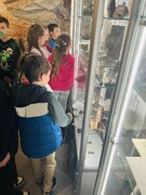 IMG_3740.jpeg