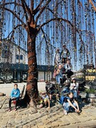 IMG_3823.jpeg