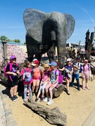 IMG_3834.jpeg