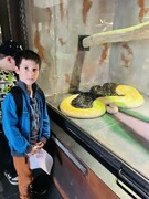 IMG_3850.jpeg