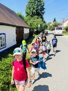 IMG_4445.jpeg