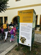 IMG_5424.jpeg