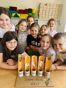 IMG_8492.jpeg