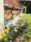 IMG_8502.jpeg